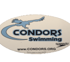 Condors Car Magnet