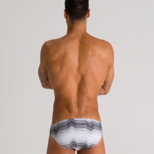 ARENA Multicolor Stripes Brief
