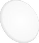 White circular disc with subtle shadow